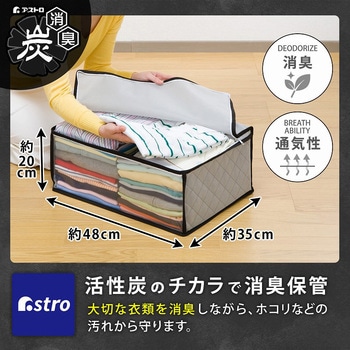 活性炭衣類整理袋 1枚 アストロ