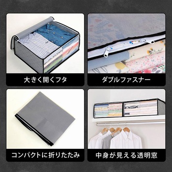 活性炭衣類整理袋 1枚 アストロ