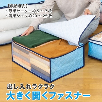 ドライ&ドライ吸湿防ダニ衣類収納袋 アストロ