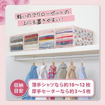 このサイズが欲しかった!高20cm 衣類整理袋 プチローズ 4枚組 アストロ