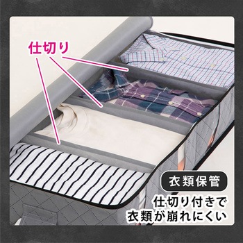 活性炭ベッド下保存ケース アストロ