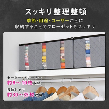 活性炭ハンドル付衣類収納ケース(大) アストロ