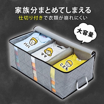 活性炭ハンドル付衣類収納ケース(大) アストロ