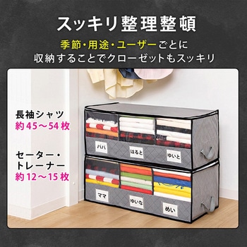 活性炭 持ち手付衣類整理袋 アストロ