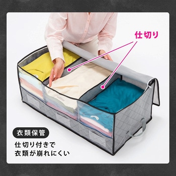 活性炭 持ち手付衣類整理袋 アストロ