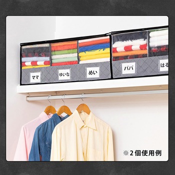 活性炭 持ち手付衣類整理袋 アストロ