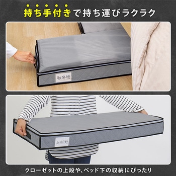 活性炭ベッド下収納ケース スリム アストロ