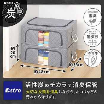 WIREDcase消臭炭入衣類整理用中 グレー アストロ