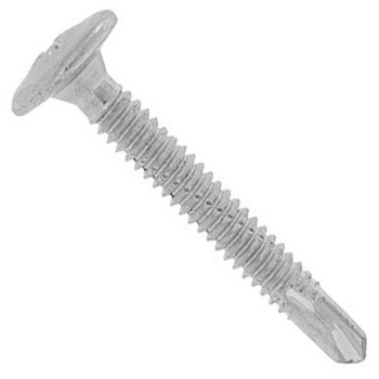 3カ-ユニ Fポイント(シンワッシャ(ホソメ 大阪魂