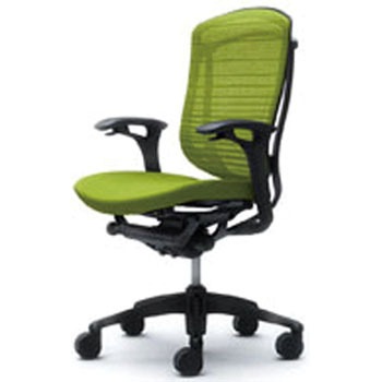 CM34BB-FGR5 �I�t�B�X�V�[�e�B���O �R���e�b�T �w�O���f�[�V�����T�|�[�g���b�V�� ���ʃN�b�V���� �I�J����(�������쏊) 59287944