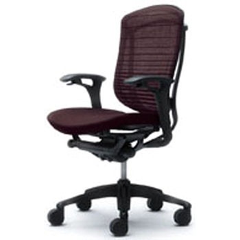 CM34BB-FGR8 �I�t�B�X�V�[�e�B���O �R���e�b�T �w�O���f�[�V�����T�|�[�g���b�V�� ���ʃN�b�V���� �I�J����(�������쏊) 59287962