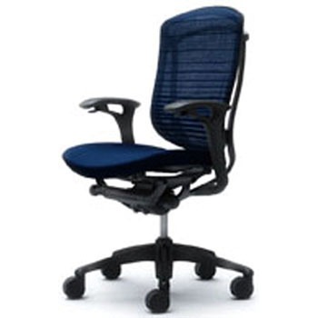 CM34BB-FHW4 �I�t�B�X�V�[�e�B���O �R���e�b�T �w�O���f�[�V�����T�|�[�g���b�V�� ���ʃN�b�V���� �I�J����(�������쏊) 59287987