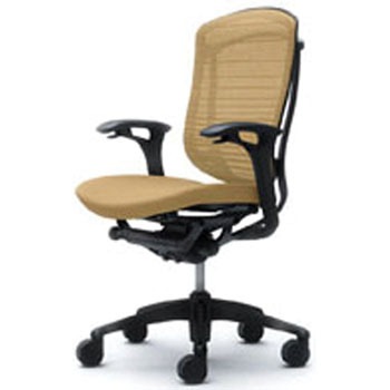 CM34BB-FHW7 �I�t�B�X�V�[�e�B���O �R���e�b�T �w�O���f�[�V�����T�|�[�g���b�V�� ���ʃN�b�V���� �I�J����(�������쏊) 59287996