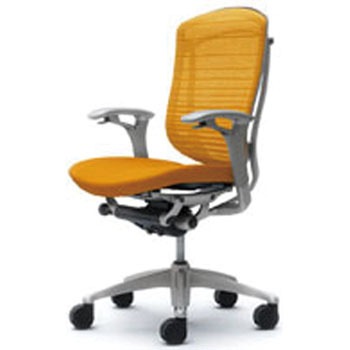 CM34SG-FGR6 �I�t�B�X�V�[�e�B���O �R���e�b�T �w�O���f�[�V�����T�|�[�g���b�V�� ���ʃN�b�V���� �I�J����(�������쏊) 59288118