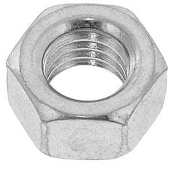 コガタナット(2シュ 大阪魂