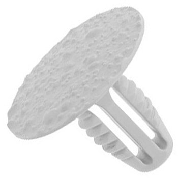 スナ(リシンアンカーベアンカーベタイプB 大阪魂