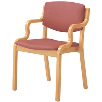 E205R-LGR �ؐ��`�F�A�[ �i�C�L 59380213