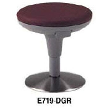 E719-DGR ۃCX iCL 59384553