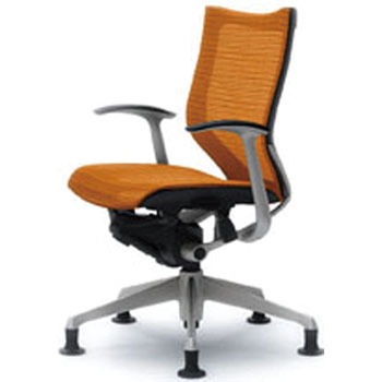 CP63GR-FDH8 �I�t�B�X�V�[�e�B���O �o���� �I�[�g���^�[���`�F�A �Œ�I ���[�o�b�N �I�J����(�������쏊) 59403374