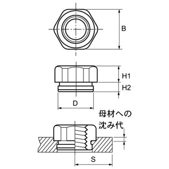 3カ-W カレイSGナット - 大阪魂