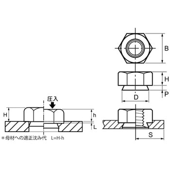 3カ-W カレイSTナット - 大阪魂