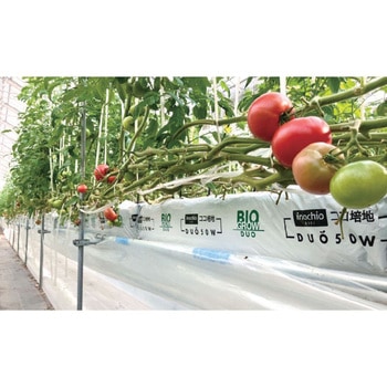 ココ培地 DUO30W Biogrow