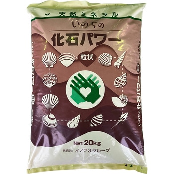 化石パワー イノチオグループ