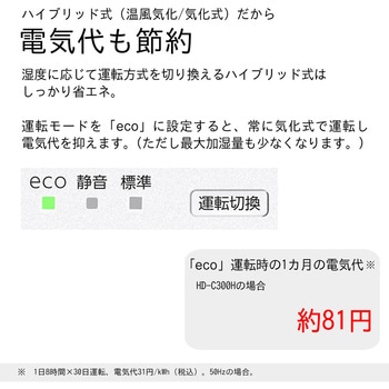 ハイブリッド式加湿器 Cタイプ 木造5畳まで/コンクリート8畳まで HD-C300H(W) ダイニチ工業