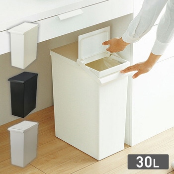 ダストボックス ゴミ箱 SOLOW ソロウ レバーオープン 30L リス