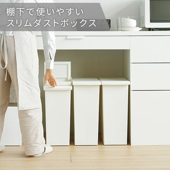 ダストボックス ゴミ箱 SOLOW ソロウ レバーオープン 30L リス