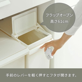 ダストボックス ゴミ箱 SOLOW ソロウ レバーオープン 30L リス