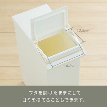 ダストボックス ゴミ箱 SOLOW ソロウ レバーオープン 30L リス