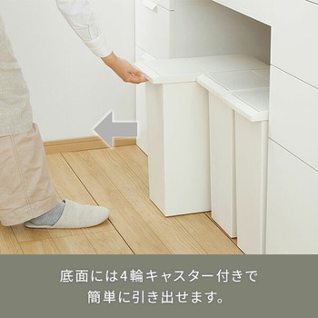 ダストボックス ゴミ箱 SOLOW ソロウ レバーオープン 30L リス