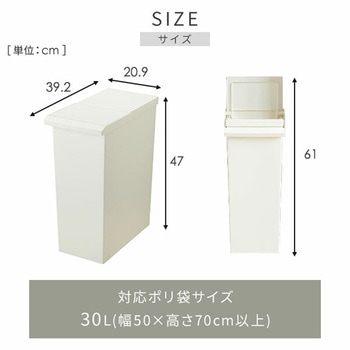 ダストボックス ゴミ箱 SOLOW ソロウ レバーオープン 30L リス