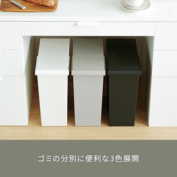 ダストボックス ゴミ箱 SOLOW ソロウ レバーオープン 30L リス