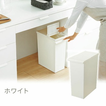 ダストボックス ゴミ箱 SOLOW ソロウ レバーオープン 30L リス