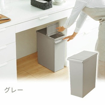 ダストボックス ゴミ箱 SOLOW ソロウ レバーオープン 30L リス