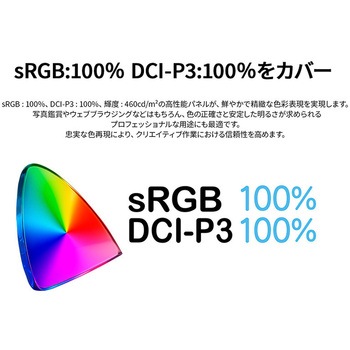 ディスプレイ27型/2560×1440/HDMI×2、DP×2/ブラック/スピーカー有/2年保証 JAPANNEXT