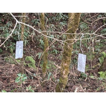 激臭!クマなぜ逃げる? 長谷弘工業