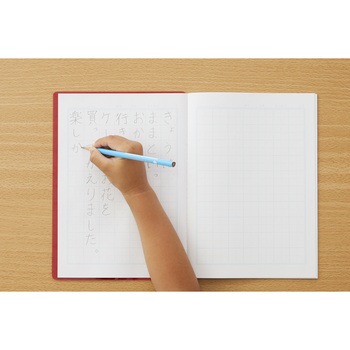 魔法のザラザラ下じきB5(0.3mmドット) レイメイ藤井