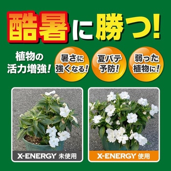 X-ENERGY(エックスエナジー) つめかえ用 KINCHO園芸(旧:住友化学園芸)