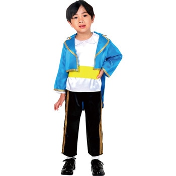 ソフトサテン キングジャケット アーテック[学校教材・教育玩具]