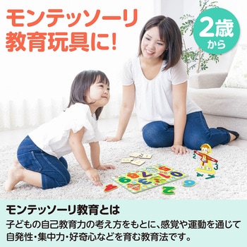 アーテック 算数教育5点セット - アーテック[学校教材・教育玩具]