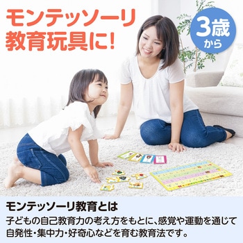 アーテック 言語教育5点セット アーテック[学校教材・教育玩具]