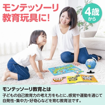 アーテック 文化教育5点セット - アーテック[学校教材・教育玩具]