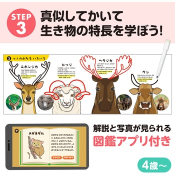 アーテック 文化教育5点セット アーテック[学校教材・教育玩具]