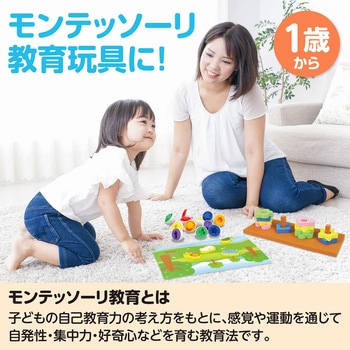 アーテック 感覚教育5点セット アーテック[学校教材・教育玩具]