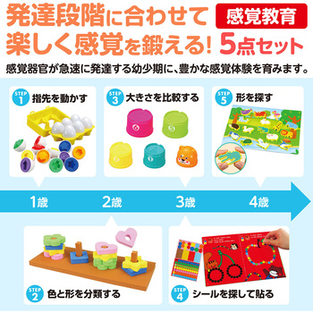 アーテック 感覚教育5点セット アーテック[学校教材・教育玩具]