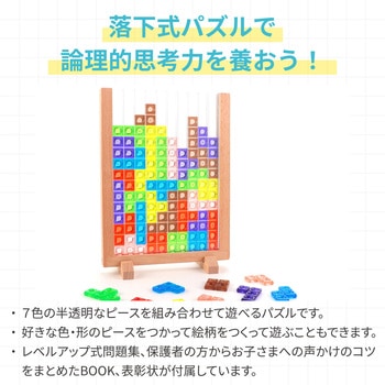 Artec MiraTOY カラフルテトパズル アーテック[学校教材・教育玩具]