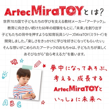 Artec MiraTOY カラフルテトパズル アーテック[学校教材・教育玩具]